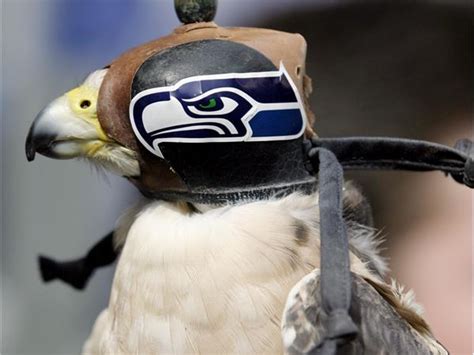 The Evolution of the Seahawks Mascot Costume Design